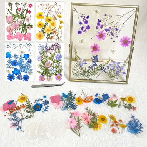 Bricolage Fleurs Séchées Ensemble, Cadre Flottant Métal, Cadre Photo Doré en Gaufré, Marque Pages Transparents de Fleurs Séchées, Ensemble de Fleurs séchées Pressées, avec Pince