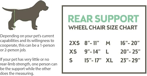 Miniatura 4 de Best Friend Mobility Silla de ruedas para perro, tamaño pequeño