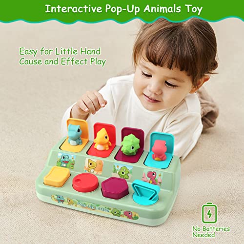 BelleStyle Pop up Baby Spielzeug ab 12 Monate,Montessori Spielzeug für 1 Jahr Kinder,Frühe Entwicklung Ursache und Wirkung Spielzeug Babys Geschenk 6 12 18 Monate Jungen Mädchen