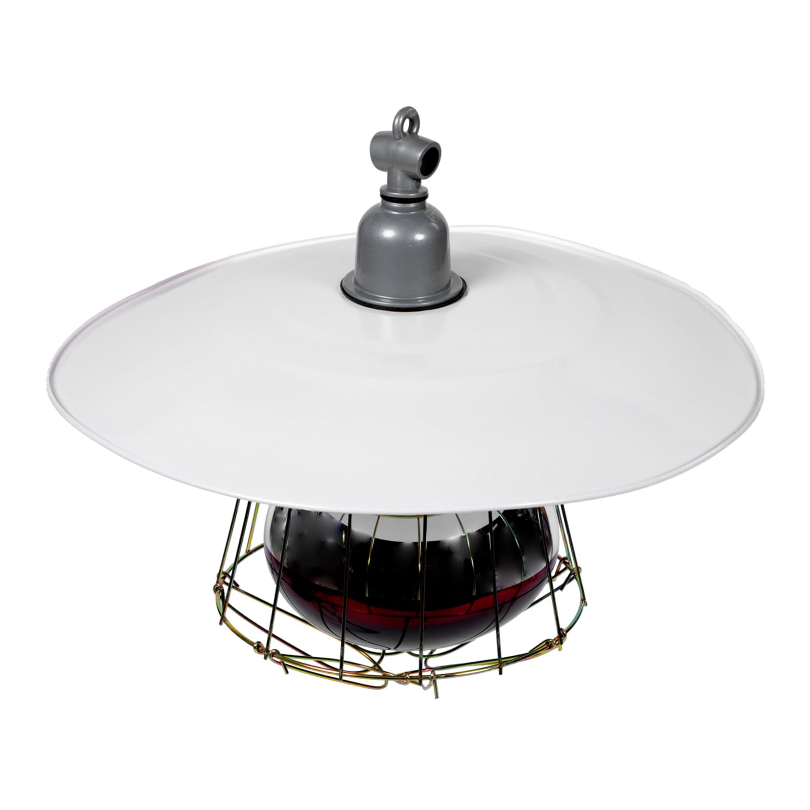 SHINEOFI Lampada Riscaldante per Animali da Allevamento e Rettile Lampada Sicura per Gabbia Piccola Riscaldatore Invernale Facile da Installare Resistente e Pratico per Colore Casuale
