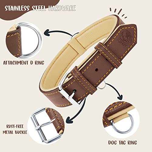 Riparo Echtes Leder Verstellbares Hundehalsband mit Zusätzlicher Verstärkung (L: 3,8CM Breit für 43,2CM - 53,3CM Hals, Braun)