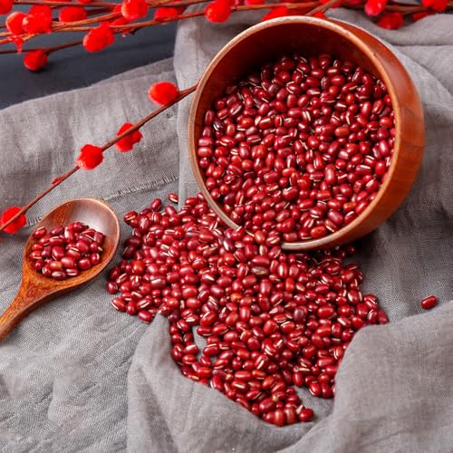 semillas de frijol azuki, semillas de hortalizas tradicionales frijoles rojos orgánicos semillas de plantas de interior exóticas semillas de frijol - serie plantas raras - cultivo de 25pcs