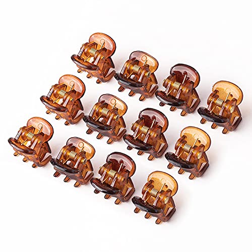 RY-EARL Antideslizante mini clip de pelo, 12 piezas pequeño clip de pelo de 1,5 cm fijación fuerte clip de pelo de acrílico para niñas y mujeres (color café) Cover