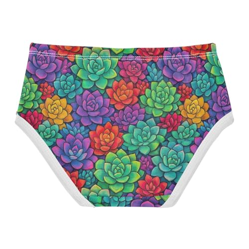 Joisal Cotton Girls Underwear Toddler Colorful Succulent Plants Panties Little Girl Cartoon Briefs Girls Undies 2t2