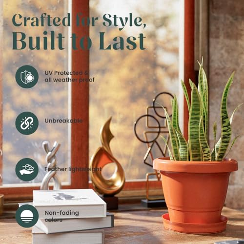 Image of YUCCABE ITALIA SHERA SD 10 INCH Pack of 8 with Bottom Tray Plastic Flower Pot Unbreakable Round Shape Planter for Garden Seedling Indoor and Outdoor