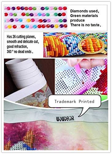 WOWDECOR - Kit per pittura con diamanti 5D