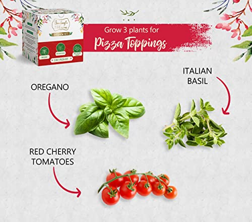 3 in 1 DIY Grow Kit by Bombay Greens | Pizza Gardening Kit | Grow Your Own Pizza Kit - Italian Basil Seeds, Oregano Seeds & Red Cherry Tomatoes Plant Seeds | DIY Kit of Pizza Seeds for Home Garden