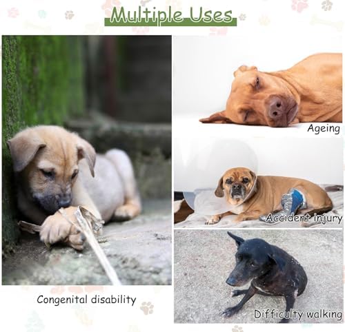 Medium Large Dog Wheelchair for Back Legs - 2 Wheels Pet Trolley for Arthritis, Aging, Injured Dogs - Supportive XXL Mobility Aid for Hind Limb Disabilities