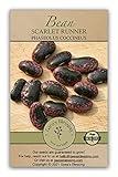 Gaea's Blessing Seeds - Scarlet Runner Bean Seeds - Non-GMO Seeds for Planting with Easy to Follow Instructions 94% Germination Rate