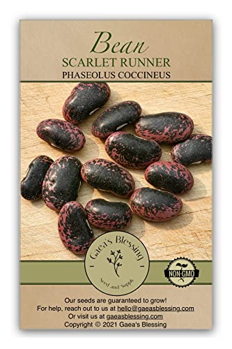 Gaeas Blessing Seeds - Scarlet Runner Bean Seeds - Non-GMO Seeds for Planting with Easy to Follow Instructions 94% Germination Rate