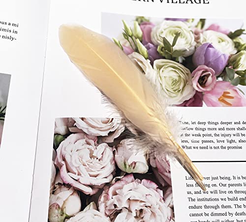 Lampu Natural Goose Feathers 15-20Cm/6-8 Inches Clothing Accessories Pack Of 100 （Champagne） #TOP5