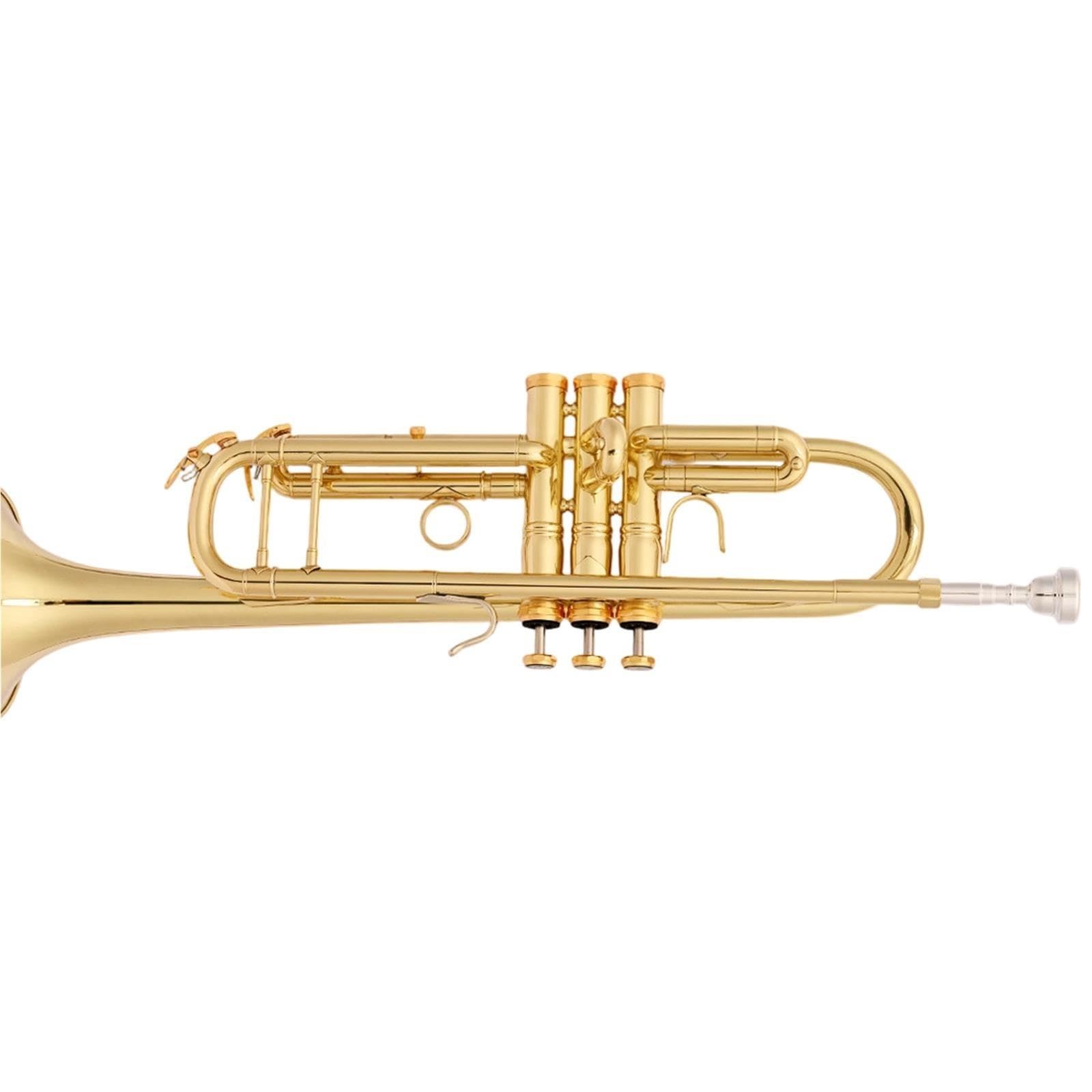 Professional Trumpet Trompeta en Sib para principiantes