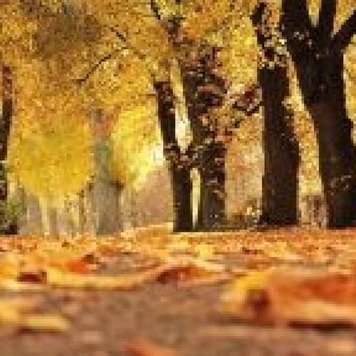 『El otoño de la vida』のカバーアート