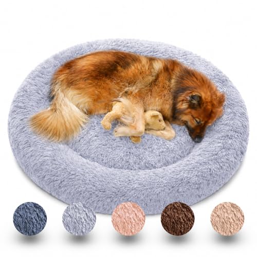 nobelpfote Hundebett Wolke 7 - Kuscheliges Hundekissen waschbarer Bezug gelenkschonend für kleine mittelgroße & große Hunde Grau M - 70cm