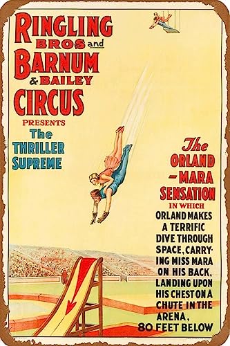 AJ AeB[N Ŕ̃uLŔ 20X30cm OOZX[Vv[Be[WT[JXgxLvg B[W uL AJ W 20X30cm