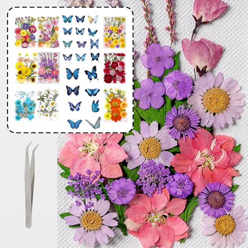 205 piezas de flores secas prensadas para artesanía miniatura 3