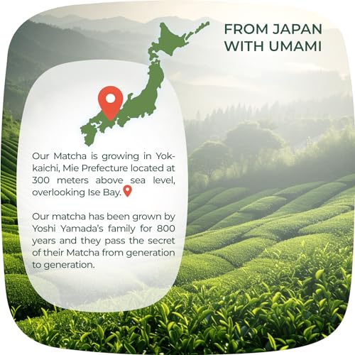Té matcha japonés ceremonial y culinario 100g+100g miniatura 5