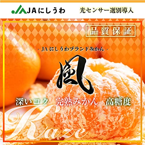 0️⃣4️⃣愛媛県産 川上蜜柑 秀品Sサイズ ２箱セット⑤ Amazon.co.jp: 風 5kg Sサイズ みかん 産地箱 愛媛県西宇和 川上共選