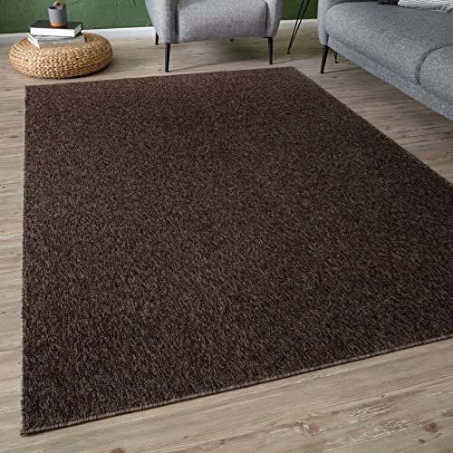THE RUGS Low Pile Area Rugs - Modern Indoor Rugs for Living Room Bedroom, Dining Room, Entryway - Non-Shedding (Brown, 60x110 cm)