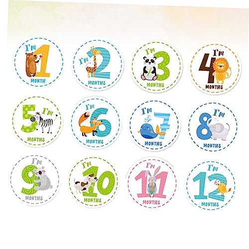 Totority 12XebJ[ xr[XebJ[ fJ[ xr[fR[V J[gDfUC ʐ^Be  ap[eB[ HipbP[W ߗ ɂgp\