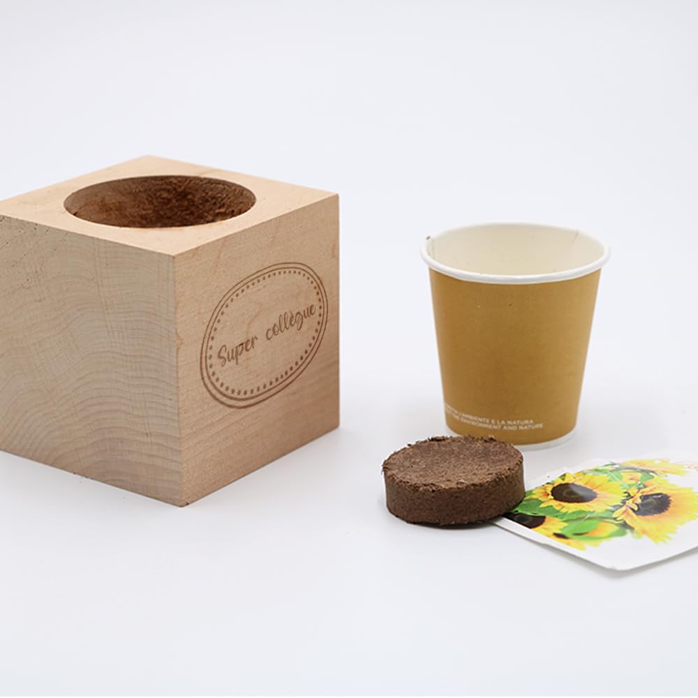 Écocube Tournesol Personnalisé Gravé – Cadeau Original Collègue Secret Santa Noël Bureau Plante à Faire Pousser