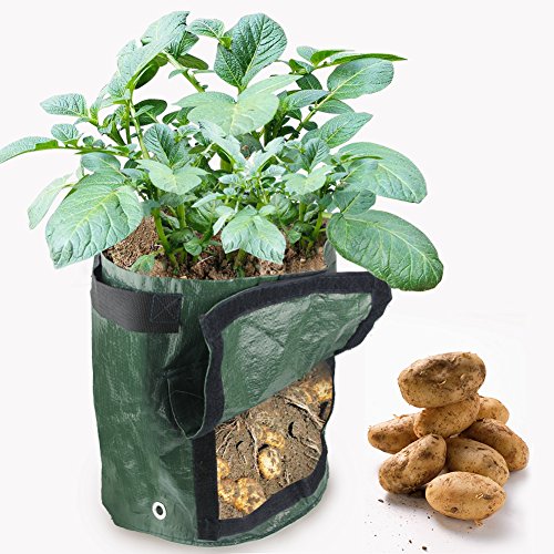 HTINAC 2 unidades Planta Patata, Maceta de Cultivo de Patata Transpirable con Ventana de Velcro Bolsa de Cultivo para el Cultivo de Taro Zanahoria y Cebolla (Verde)