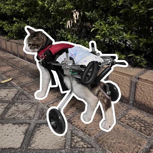 CMYUN Dog Wheelchair Extra Small Cat Wheelchair, Lightweight Cats/Rabbits/Dog Wheelchair for Back Legs, Cat Exercise Wheels Rehabilitation Aid, Easy to Move(X-Small)