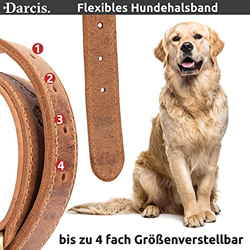 Darcis Hundehalsband Braun - Extrem Robustes Lederhalsband aus hochwertigem Rindsleder - Ideal für Starke Hunde - Halsband Hund - Hundehalsband Leder - Lederhalsband Hund - 55-62,5 cm Halsumfang