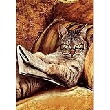 DIY 5D-Diamantbild, Malen nach Zahlen, Lesebuch mit Katze, Strass-Stickerei, Kreuzstich, Verzierungen, Kunst, Handwerk, Leinwand, Wanddekoration