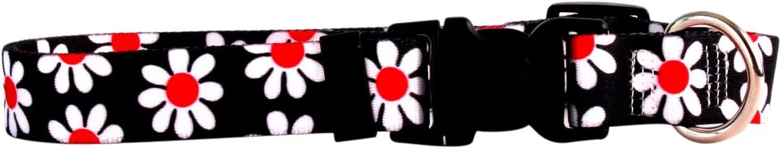 Yellow Dog Design Black Daisy Dog Collar Fits Neck 14 to 20"/4" Wide, Medium 3/4" Wide, (BKD104)