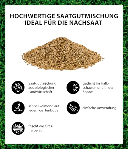 Dehner Bio Saatgut Rasen-Nachsaat, hochwertige Saatgutmischung, raschwüchsig / schnellkeimend, 500 g, für ca. 25 m², natur