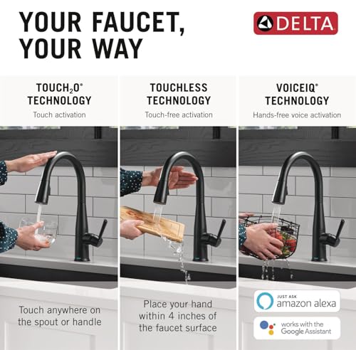 Image of VoiceIQ Single Handle Pull-Down Faucet with Touch2O Technology