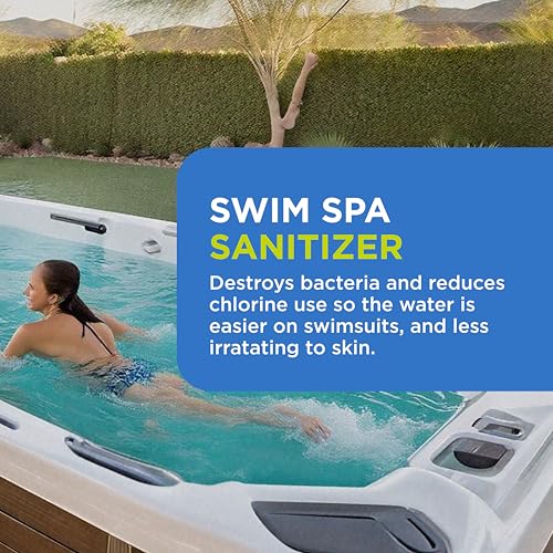 Image of FROG @Ease Floating System for Swim Spas - Quick & Easy Self-Regulating Swim Spa Sanitizer - Swim Spa Maintenance System with Sanitizing Minerals & SmartChlor Technology - 8 Month Bundle+