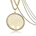 Choker Essential Oil Diffuser Necklace Locket Jewelry with 316L Surgical Steel 24"Chain and 6 Refill Pads