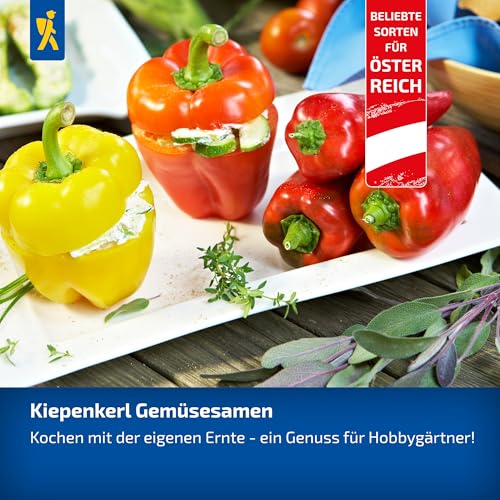 Kiepenkerl Profi-Line Eissalatsamen Grazer Krauthäuptel 2 1076400 - Knackige Blätter mit mild-süßem Geschmack - Salatsamen, Saatgut, Eisbergsalat