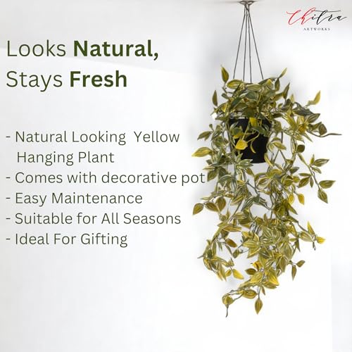 Image of Chitra Artificial Fern Plant with Pot for Home, Office, Living Room & Counter Decoration | Realistic Faux Greenery for Indoor Use | Durable Plastic Pot (7)