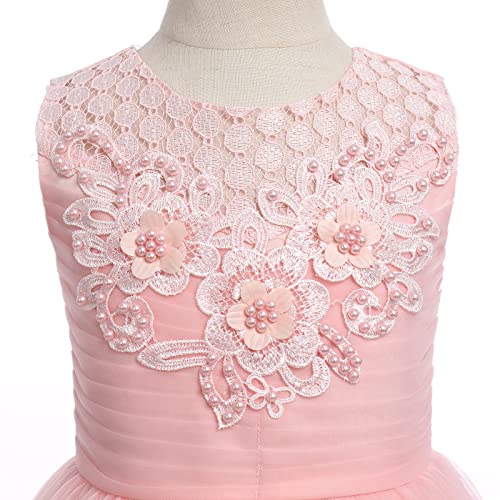 Girls' Special Occasion Dresses, Teen Girl Dress, Girl Lace Puffy Dress For Kids Wedding Formal Princess Communion Birthday Prom Frocks Dance Evening Ball Gown Pink - Floral Lace 13-14 Years #TOP2