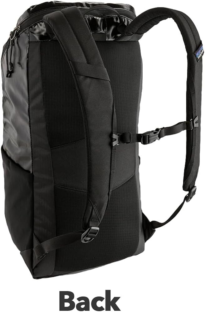 Amazon.co.jp: [パタゴニア] リュック Black Hole 25L 49297 ブラック