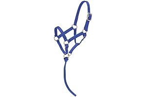 Tough 1 Miniature Nylon Halter (Review)
