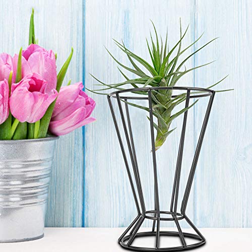 Irregular Flower Plant Stand, Geometric Planter Stand Pot, Metal Hanging Air Plants Rack Holders, Display Holder Rack Shelf Flower Hanger Moss Fern Plant Decor (Black) #TOP6
