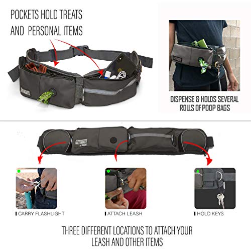 Taksin The Ultimate Hands Free Dog Leash System For Walking Running Hiking Training, Reflective Bungee Leash, Treat Holder, Poop Bag Dispenser For Small Medium Large Dogs (Grey Deluxe Pack) #TOP5