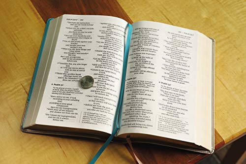 Niv, Personal Size Bible, Large Print, Leathersoft, Teal/Gold, Red Letter Edition, Comfort Print: Ne