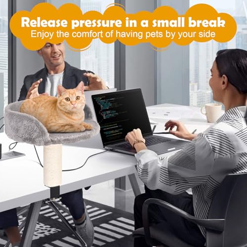Hivexagon Katzen-Schreibtischbett mit Kratzsäule und weicher Plüschpolsterung. Ermöglicht Ihrer Katze, gemeinsam mit Ihnen zu Lernen und zu Arbeiten. Bis zu 4 kg belastbar
