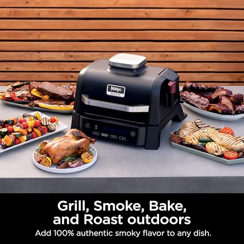 Ninja Woodfire Outdoor Grill & Smoker thumbnail 12