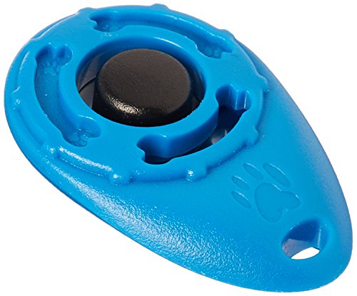Image of 3 360 video rig for GO-PRO action cameras