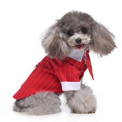 Disfraz Formal para Perro Polo con Corbatín Rojo S