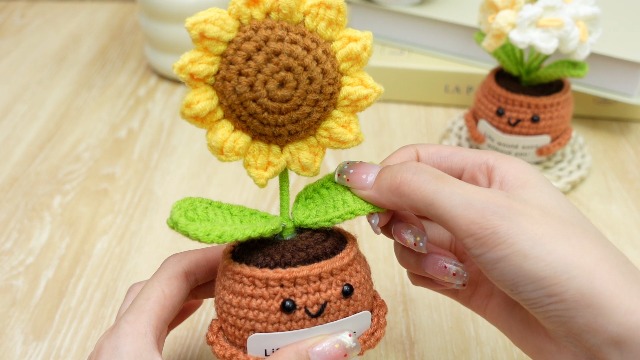 Amazon.com: SmoothNovelty 3 Pcs Knitted Potted Crochet Plants