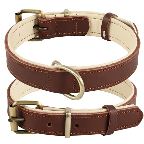 Collar de Cuero Genuino para Perro, Varios tamaños y Colores, Resistente, cómodo, Acolchado Interior Suave con diseño de Color en Contraste, Cinco tamaños Diferentes de 25 a 57 cm