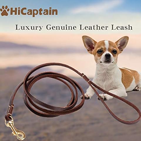HiCaptain Thin Leather Pet Leash, Durable Dog Leashes Suit for Small Dog Up to 15 lb 00(1/5 inch Wide, 6 Ft) Cover