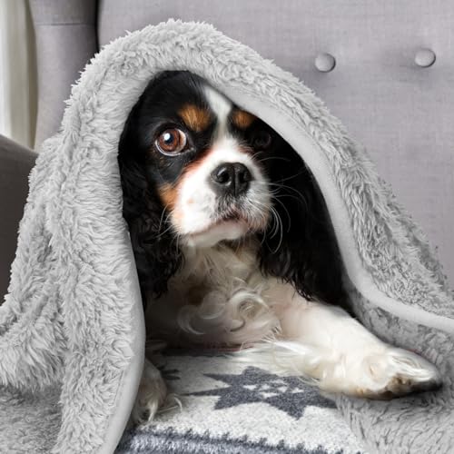 Nobleza Hundedecke Weiche Fleecedecke Waschbare Deck für Haustier Hunde Katzen Welpen Weiche Warme Matte, Hellgrau 100 * 80cm